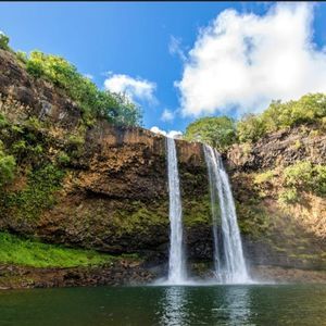 Meet your Posher, Candi